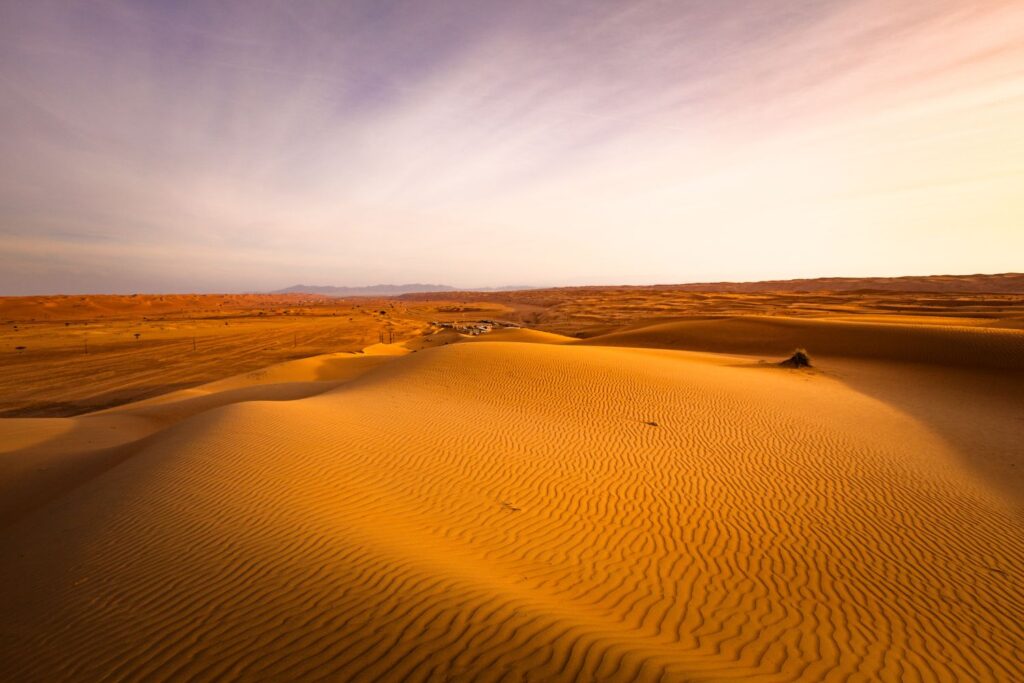 Desert Tour